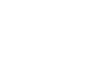 logo-allume